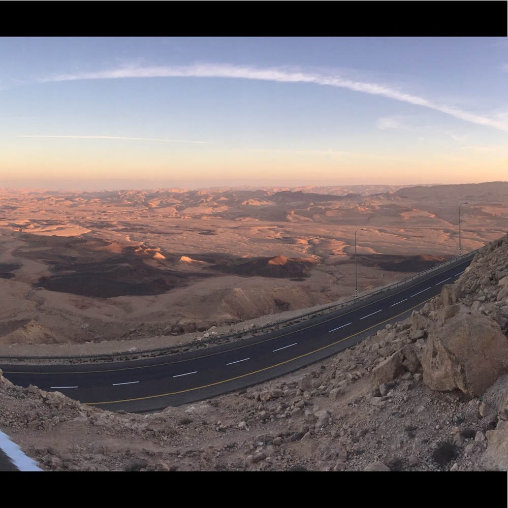 Meet your Posher, Morty, coolest guy on the bay